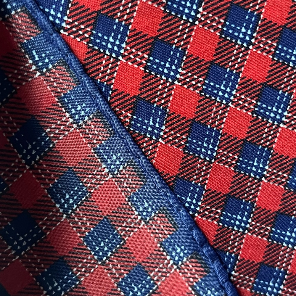 Robinson Golluber Large Red and Blue Plaid Scarf - Picture 5 of 8